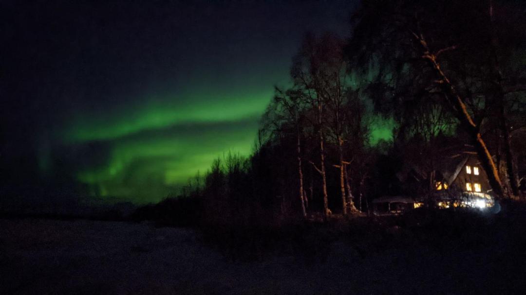 Susitna River Lodging, Backwoods Cabins Talkeetna Ngoại thất bức ảnh